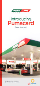 thumbnail of Introducing Pumacard brochure 2018
