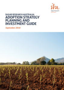 thumbnail of Adoption Strategy Planning and Investment Guide Short 2018