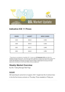 thumbnail of Indicative ICE 11 Prices