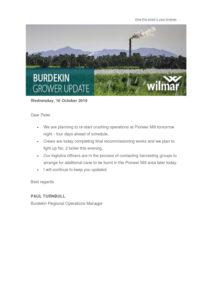 thumbnail of Wilmar – Pioneer Mill Update 16.10.19