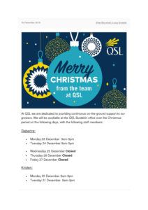 thumbnail of QSL Christmas Office Times