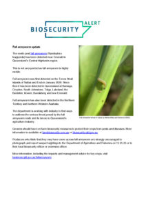 thumbnail of Fall armyworm update