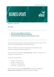 thumbnail of Wilmar Business plan