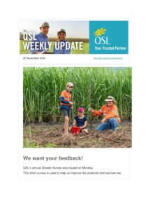 thumbnail of QSL Weekly Update – 20 November 2020