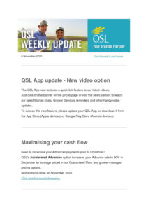 thumbnail of QSL Weekly Update – 6 November 2020